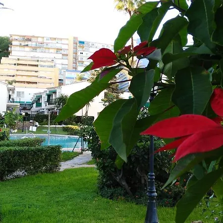 Aloha Paraiso * Торремолинос